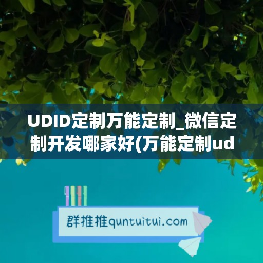 UDID定制万能定制_微信定制开发哪家好(万能定制udid激活码商城)