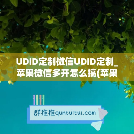 UDID定制微信UDID定制_苹果微信多开怎么搞(苹果微信多开器)