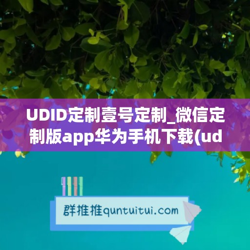 UDID定制壹号定制_微信定制版app华为手机下载(udid定制软件安全吗)