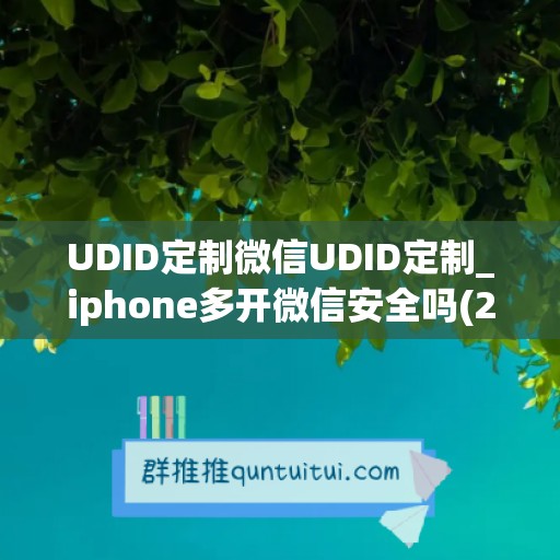 UDID定制微信UDID定制_iphone多开微信安全吗(2021年ios微信多开自己制作)