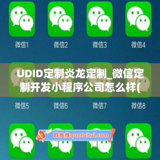 UDID定制炎龙定制_微信定制开发小程序公司怎么样(炎龙游戏)