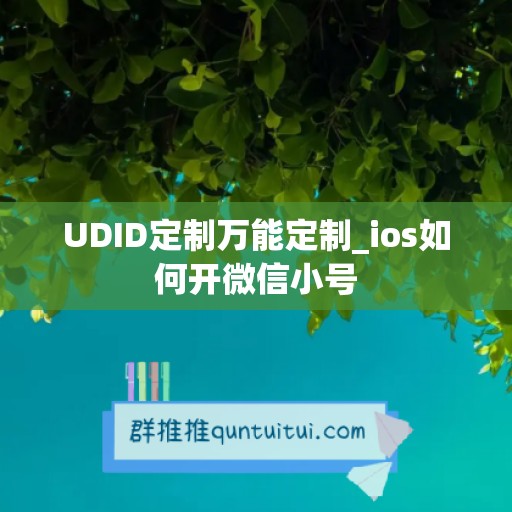 UDID定制万能定制_ios如何开微信小号