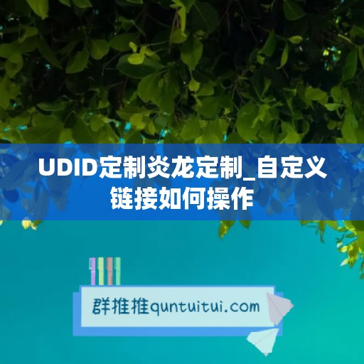 UDID定制炎龙定制_自定义链接如何操作