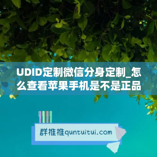 UDID定制微信分身定制_怎么查看苹果手机是不是正品(苹果微信分身授权码查询)