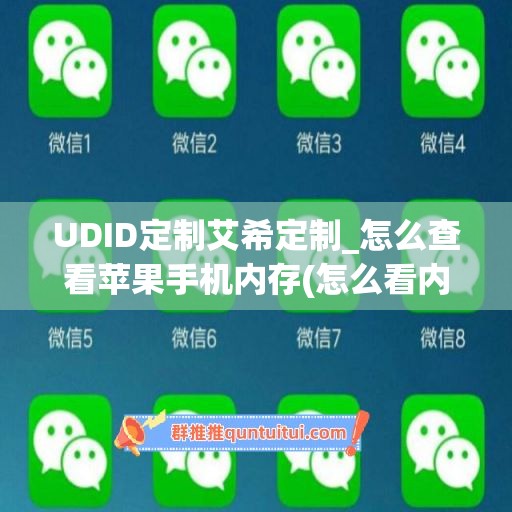 UDID定制艾希定制_怎么查看苹果手机内存(怎么看内存空间苹果)