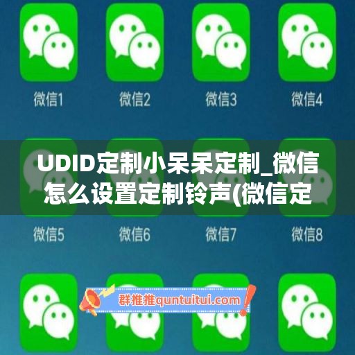 UDID定制小呆呆定制_微信怎么设置定制铃声(微信定制语怎么设置)