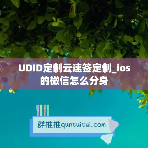 UDID定制云速签定制_ios的微信怎么分身