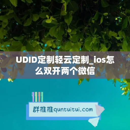 UDID定制轻云定制_ios怎么双开两个微信