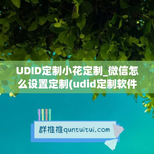 UDID定制小花定制_微信怎么设置定制(udid定制软件)