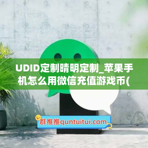 UDID定制晴明定制_苹果手机怎么用微信充值游戏币(iphone怎么可以微信充值手游)