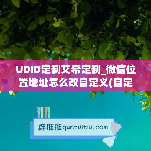 UDID定制艾希定制_微信位置地址怎么改自定义(自定义微信位置所在地区怎么改)