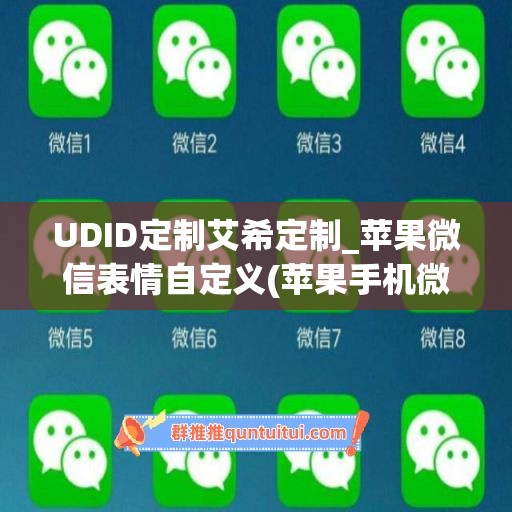 UDID定制艾希定制_苹果微信表情自定义(苹果手机微信自定义表情包)