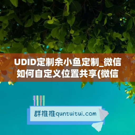 UDID定制余小鱼定制_微信如何自定义位置共享(微信位置共享怎么自定义位置)