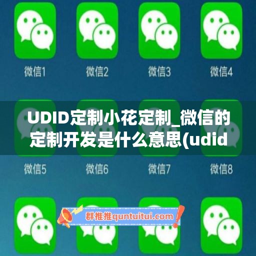 UDID定制小花定制_微信的定制开发是什么意思(udid定制版微信原理)