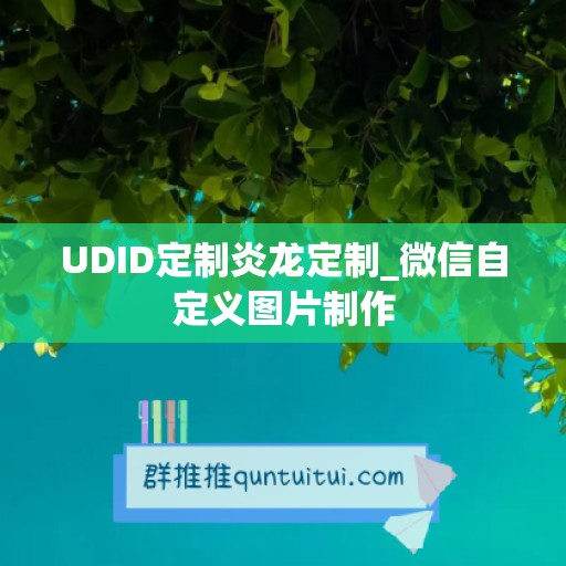 UDID定制炎龙定制_微信自定义图片制作