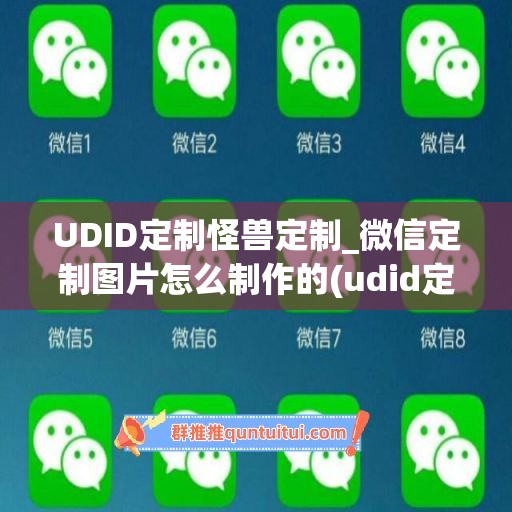 UDID定制怪兽定制_微信定制图片怎么制作的(udid定制软件)