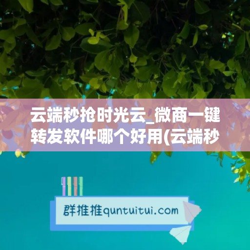 云端秒抢时光云_微商一键转发软件哪个好用(云端秒抢原理)