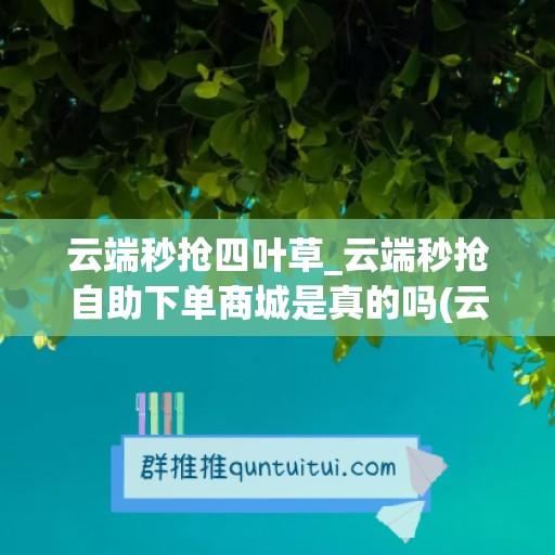 云端秒抢四叶草_云端秒抢自助下单商城是真的吗(云端秒抢多少钱一个月)