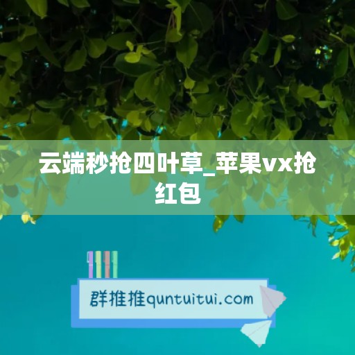 云端秒抢四叶草_苹果vx抢红包