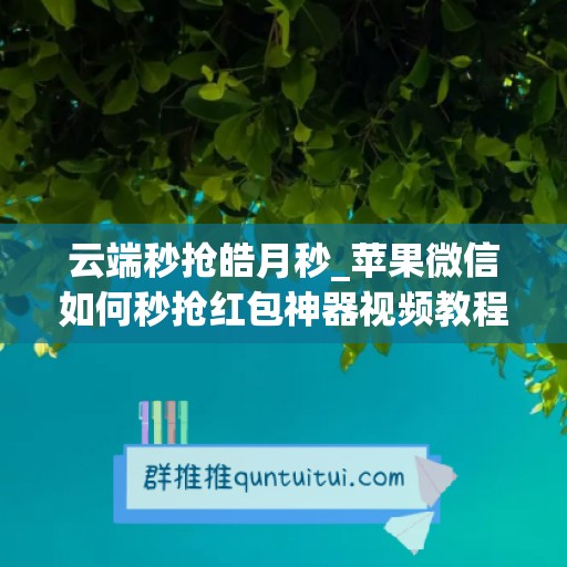 云端秒抢皓月秒_苹果微信如何秒抢红包神器视频教程(苹果手机微信红包秒抢)