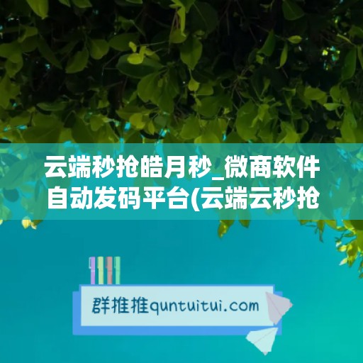 云端秒抢皓月秒_微商软件自动发码平台(云端云秒抢)