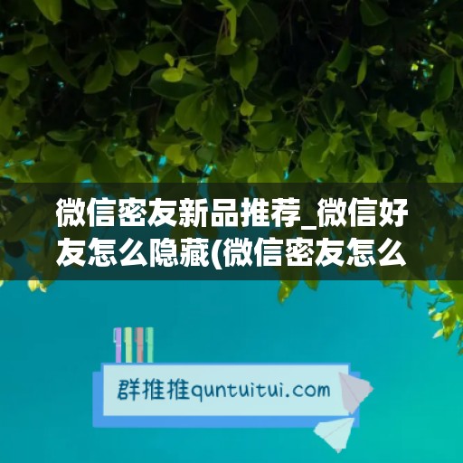 微信密友新品推荐_微信好友怎么隐藏(微信密友怎么设置)