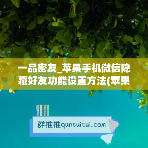 一品密友_苹果手机微信隐藏好友功能设置方法(苹果微信好友隐藏怎么弄)