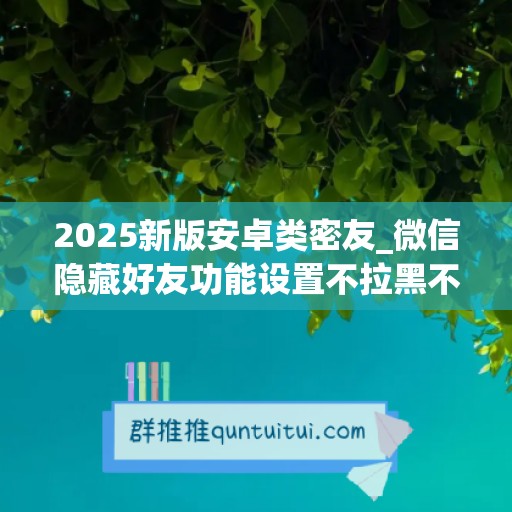 2025新版安卓类密友_微信隐藏好友功能设置不拉黑不删除会消失吗(微信好友隐藏而不是拉黑功能设置)