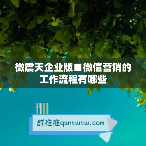 微震天企业版■微信营销的工作流程有哪些