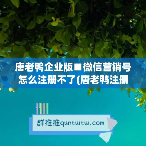 唐老鸭企业版■微信营销号怎么注册不了(唐老鸭注册商标)