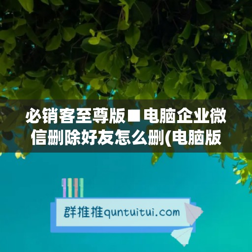 必销客至尊版■电脑企业微信删除好友怎么删(电脑版企业微信如何清空聊天记录)